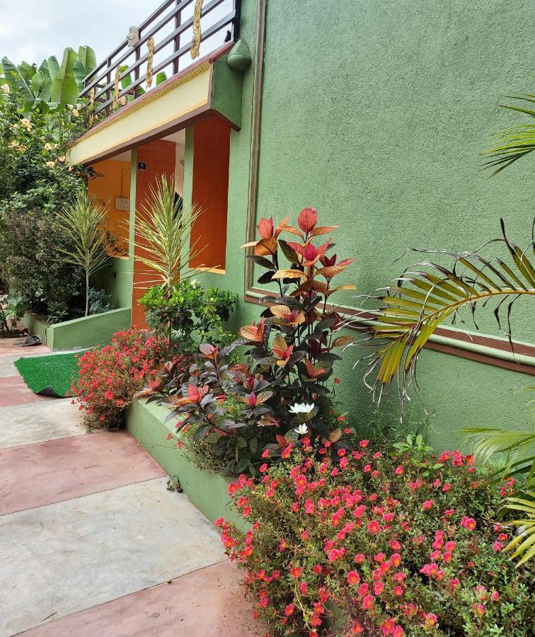Banana Farm House Хампи Экстерьер фото