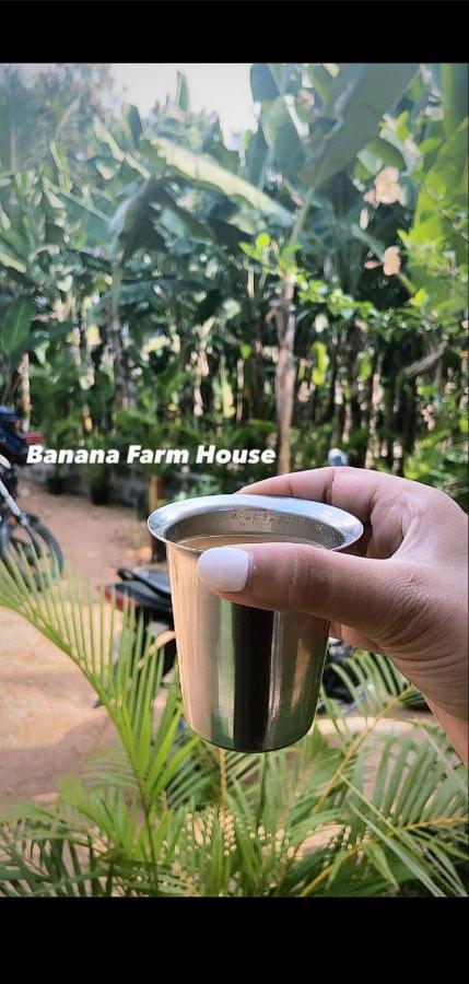 Banana Farm House Хампи Экстерьер фото