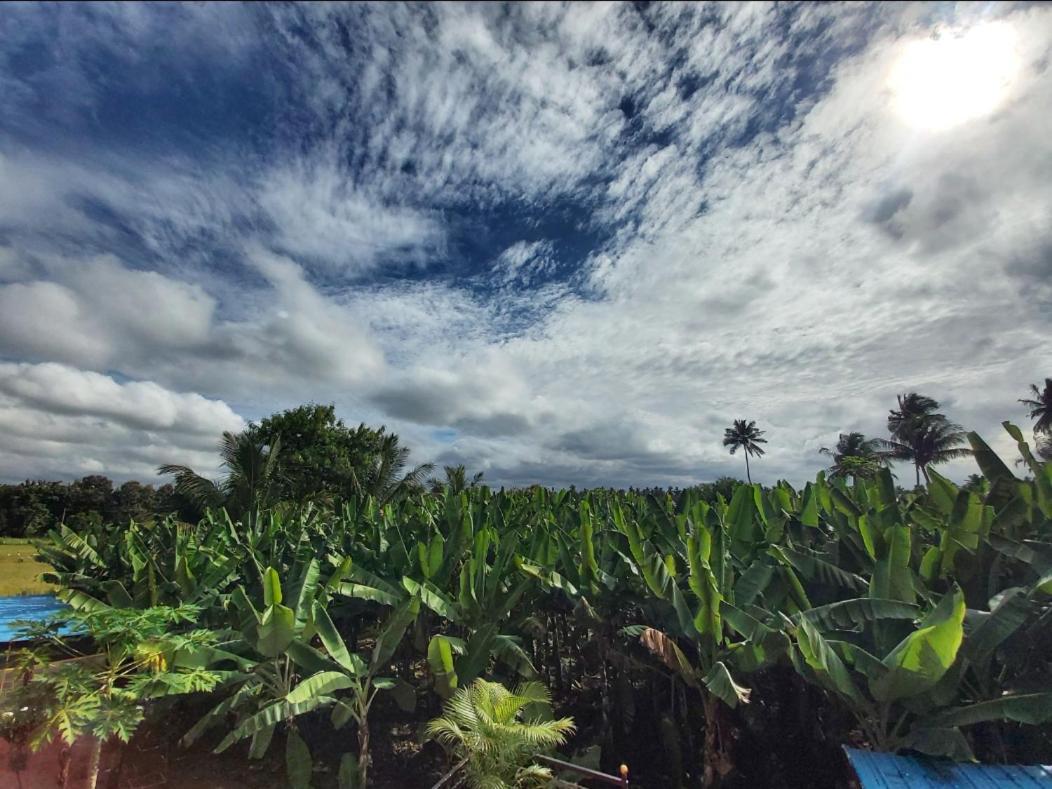 Banana Farm House Хампи Экстерьер фото