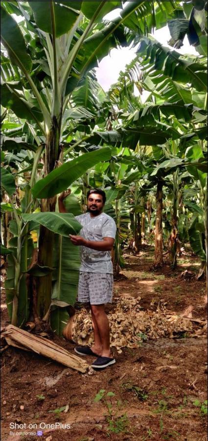 Banana Farm House Хампи Экстерьер фото